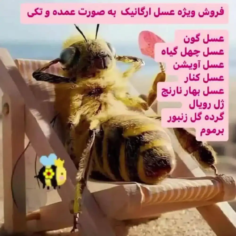 New Project (13) فروش ویژه عسل ارگانیک - Image 1