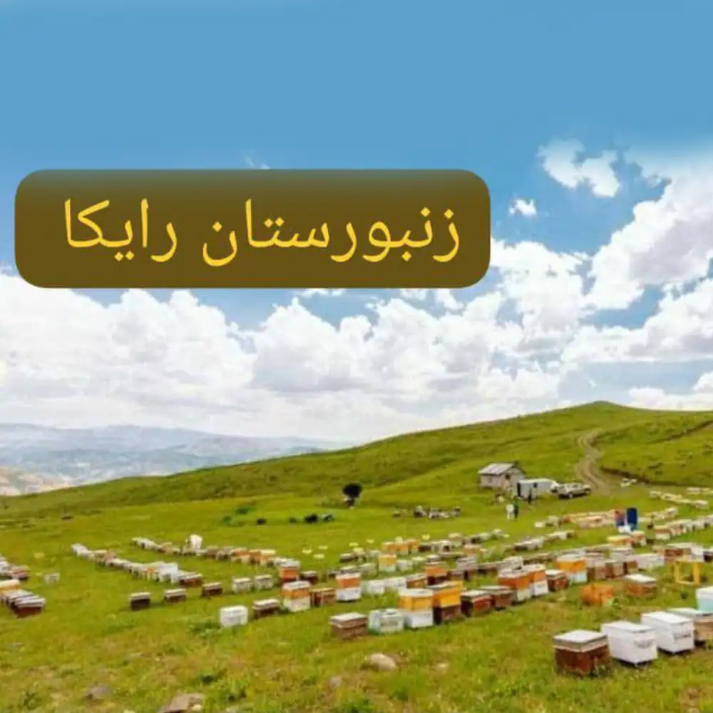 New Project (6) عسل گون طبیعی